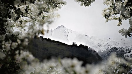 Ein neues Atelier für Foto-Kunst und Kurse in Dallenwiln