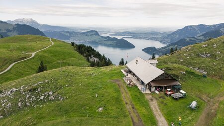 Alpkäse vom Niederbauen – ehrlich, würzig, echt