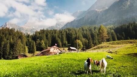 Zwischen See, Glaskunst und Pilatus: Hergiswil begeistert mit überraschender Vielfalt