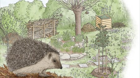 Ein Winterquartier für den Igel