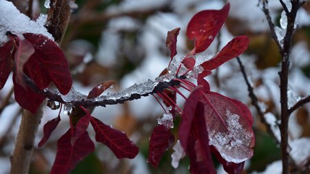 Vorbei die Sommersause Jetzt gut gewappnet in die Winterpause