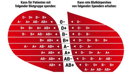 Spende Blut – rette Leben, ein Slogan mit Nachhaltigkeit!