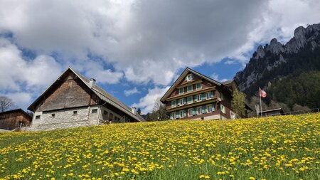 Nidwaldner Wanderwege – Europäischer Zugvogel-Beobachtungstag | © Nidwaldner Wanderwege