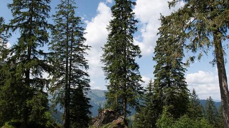 Nidwaldner Wanderwege – Bannalp – Haldigrat | © Nidwaldner Wanderwege