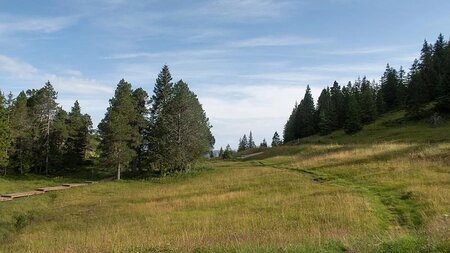 Nidwaldner Wanderwege – Moorzauber am Glaubenberg | © Nidwaldner Wanderwege