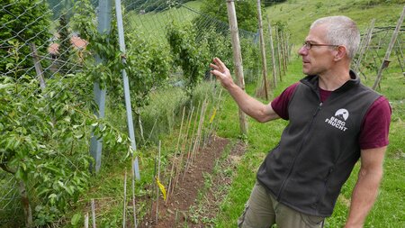 Seelisberg Tourismus – Rundgang im Fruchtgarten | © Seelisberg Tourismus