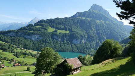 Seelisberg Tourismus – Rundgang Fruchtgarten | © Christoph Näpflin
