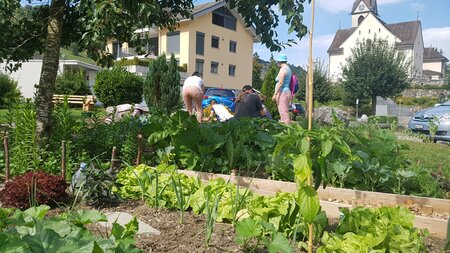 Pfarrei Ennetmoos – GEMEINSCHAFTSgarten | © Pfarramt Ennetmoos