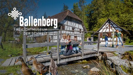 Ballenberg – Herbstmarkt und Kantonales Fest | © Erfasst durch Nidwaldner Blitz